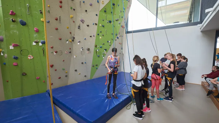 Schülergruppe beim Klettern