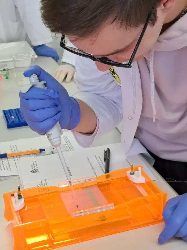 Schler experimentiert