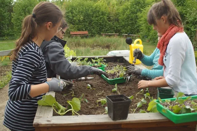 Schülerinnen bepflanzen Hochbeet