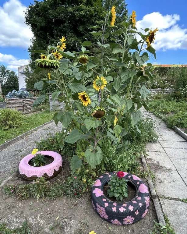Upgecycelte Autoreifen im Schulgarten