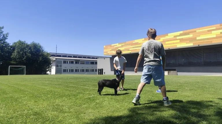 Hunde-Lizenz-Kurs