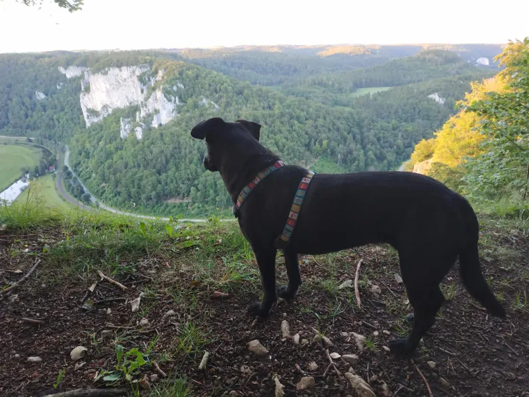 Chica im Donautal