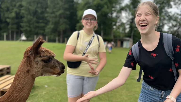 Bei der Alpaka-Wanderung