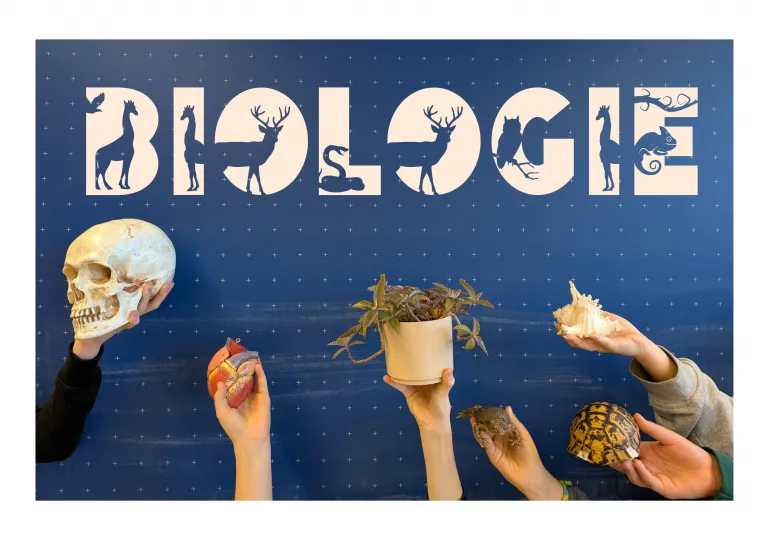 Schüler experimentieren